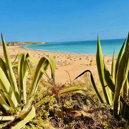 Apartamento Sea View Rocha Paradise Studio *